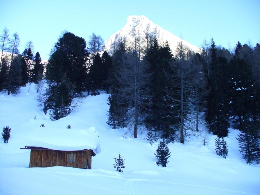 Hotel El Geiger Pozza di Fassa Exteriér fotografie